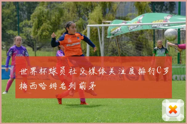 世界杯球员社交媒体关注度排行C罗梅西哈姆名列前茅